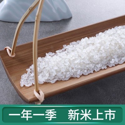 2024年新米正宗东北大米10斤20斤珍珠米农家自产便宜大米批发价图3