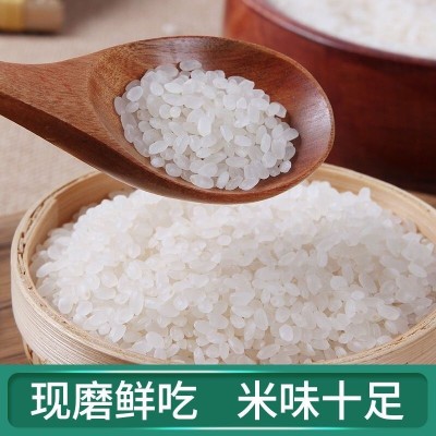 2024年新米正宗东北大米10斤20斤珍珠米农家自产便宜大米批发价图4