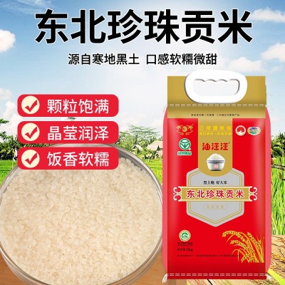 2024源头厂家新米 东北珍珠贡米10斤 产地货源直供批发珍珠米5kg