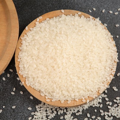 2024源头厂家新米 东北珍珠贡米10斤 产地货源直供批发珍珠米5kg图2