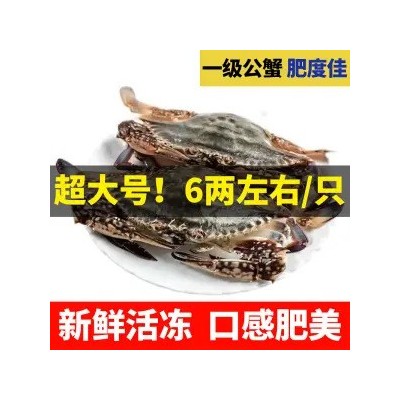 【超6千回头客】【好品质】舟山野生梭子蟹鲜活新鲜冷冻超大海螃 1斤图5