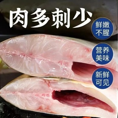 【特价中】野生金鲳鱼特大金昌鱼1斤以上平鱼海昌白鲳鱼顺丰包邮 6条图3