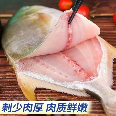 【特价中】野生金鲳鱼特大金昌鱼1斤以上平鱼海昌白鲳鱼顺丰包邮 6条图4
