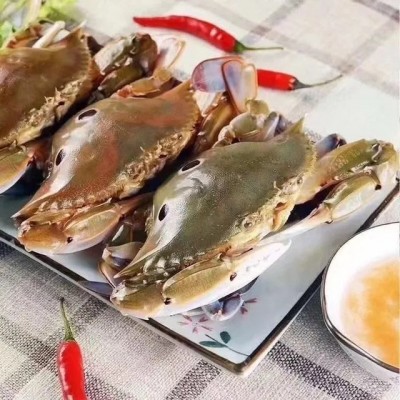 野生三点蟹鲜活冷冻梭子蟹三目蟹新鲜黄膏蟹三眼蟹海鲜水产批发 4斤