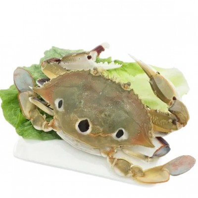 野生三点蟹鲜活冷冻梭子蟹三目蟹新鲜黄膏蟹三眼蟹海鲜水产批发 4斤图3