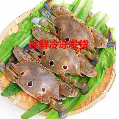 野生三点蟹鲜活冷冻梭子蟹三目蟹新鲜黄膏蟹三眼蟹海鲜水产批发 4斤图4