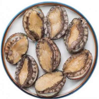 新鲜冷冻鲍鱼肉带壳鲍鱼批发冷冻品商用带壳活冻鲍鱼批发捞汁专用 1斤图4