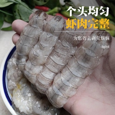 皮皮虾肉鲜活虾姑现剥大号新鲜虾爬肉低脂虾肉海鲜琵琶虾肉饺子馅 5斤图4