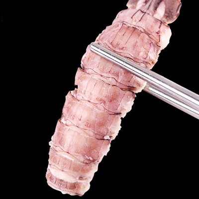 鲜冻皮皮虾肉鲜活现剥虾姑肉冷冻虾爬肉虾婆肉濑尿虾肉整箱批发 3包图4