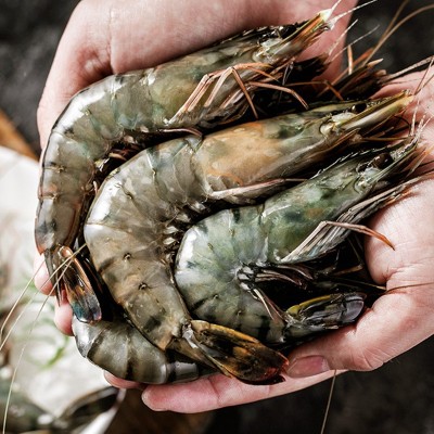 黑虎虾超大新鲜大虾老虎虾鲜活老虎虾速冻海鲜竹九节虾商用批发 1盒图2