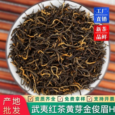 2025新茶金骏眉红茶散装小种红茶浓香型茶叶批发金俊眉奶茶原料