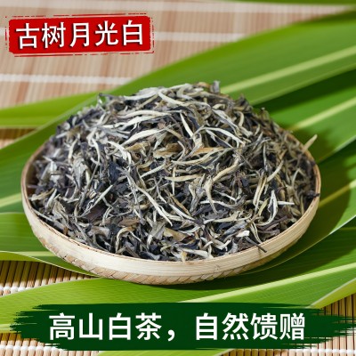 白茶批发云南古树白茶月光白散茶叶白毫银针2025春茶500g源头厂家图2