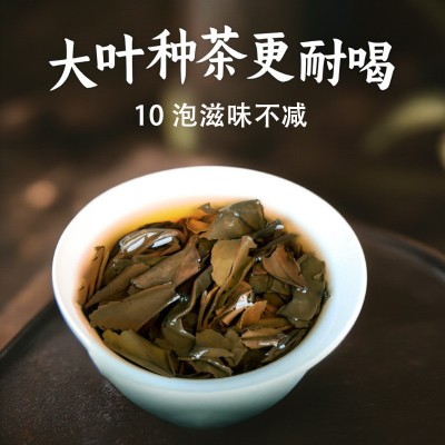 2022年老白茶寿眉贡眉干仓茶叶批发500克云南大叶种白茶厂家直供图4