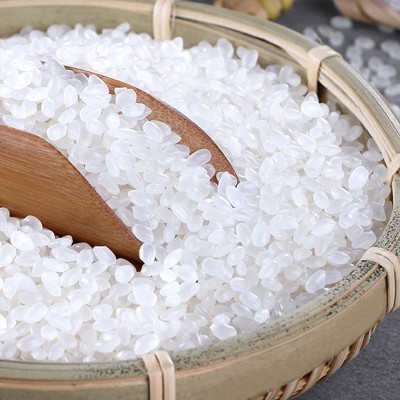 香稻贡米20斤五常大米真空装新米黑龙江东北大米厂家批发代发包邮 1袋