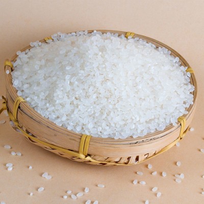 香稻贡米20斤五常大米真空装新米黑龙江东北大米厂家批发代发包邮 1袋图2