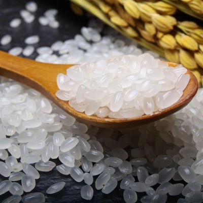 香稻贡米20斤五常大米真空装新米黑龙江东北大米厂家批发代发包邮 1袋图3