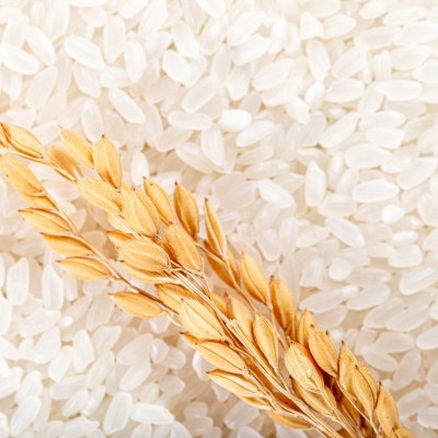 五常大米10斤原粮稻花香2号黑龙江东北大米5斤新米真空包装批发 1袋图2