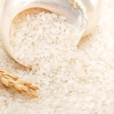 长香稻贡米30斤五常大米真空装新米东北大米长粒香厂家批发包邮 30斤图3