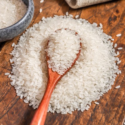 东北大米黑龙江圆粒珍珠米真空包装粳米煮粥非稻花香黑龙江原产地  1袋图3