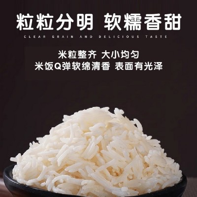 漂香丝苗米新米煮粥米软糯香米五谷稻花香新米季大米 1袋