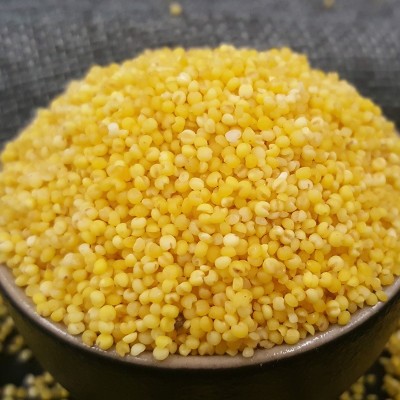 溢田五谷杂粮有机小米黄小米农家杂粮小米粥小米批发 1件图4