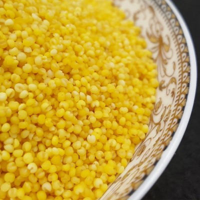 溢田五谷杂粮有机小米黄小米农家杂粮小米粥小米批发 1件图2