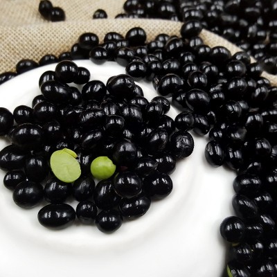 和粮农业 溢田 黑土种植 有机黑豆 400g绿芯大黑豆 厂家批发 1袋图2