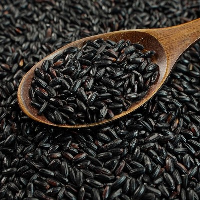 溢小妹溢田五谷杂粮有机黑米东北黑大米杂粮大米厂家批发900g 1袋图4