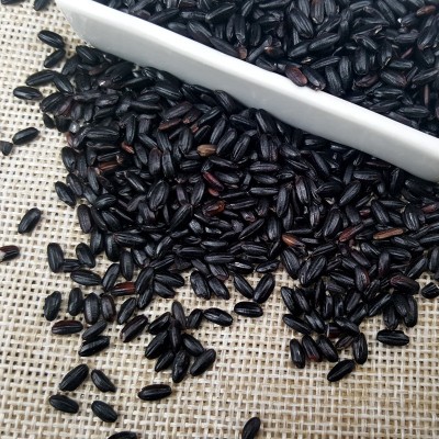 溢小妹溢田五谷杂粮有机黑米东北黑大米杂粮大米厂家批发900g 1袋图5