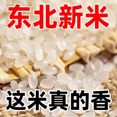 黑龙江珍珠米大米5kg东北粳米香米真空包装农家新米一年一季 1袋图2
