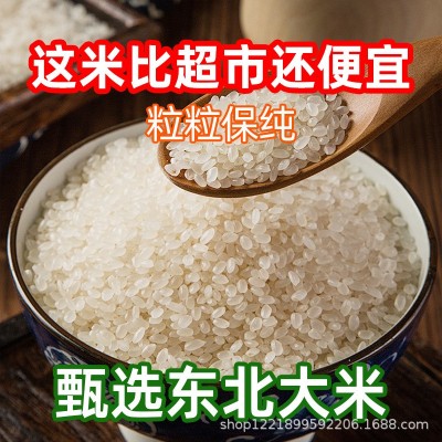 黑龙江珍珠米大米5kg东北粳米香米真空包装农家新米一年一季 1袋图4