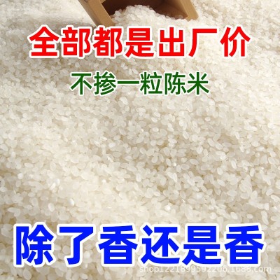 黑龙江珍珠米大米5kg东北粳米香米真空包装农家新米一年一季 1袋图3