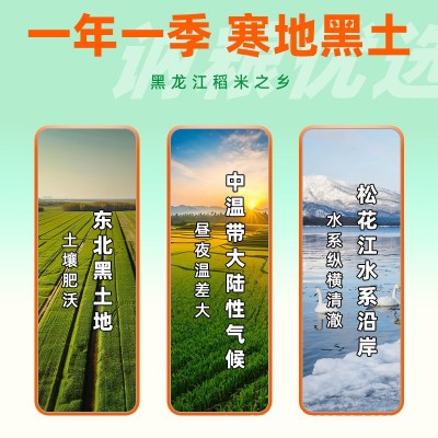 东北大米5斤装真空包装新米黑龙江珍珠米一年一季家用商用包邮 1袋图3