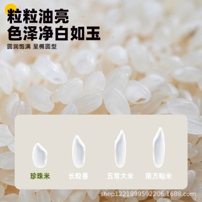 【春种秋收一年一季】寒地黑土东北大米10斤煮饭营养清香工厂直发 1袋图2