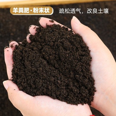 内蒙古纯羊粪腐熟发酵有机肥花卉果蔬通用底肥无异味长肥效营养 1袋图4