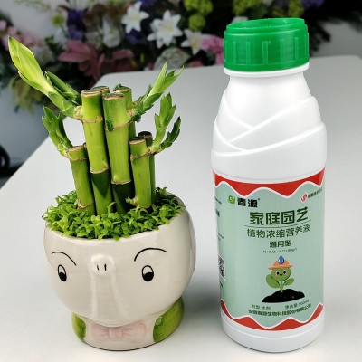 通用型浓缩植物营养液适用花卉蔬菜水果营养液植物通用型叶面肥 1瓶图2