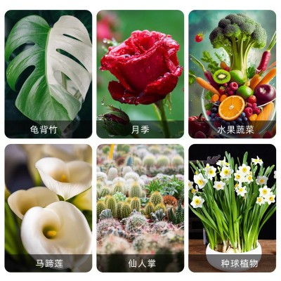 通用型浓缩植物营养液适用花卉蔬菜水果营养液植物通用型叶面肥 1瓶图3