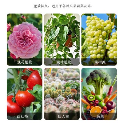 春源生物有机肥微生物肥料土地改良用肥花卉蔬菜土壤活化剂通用 2袋图3