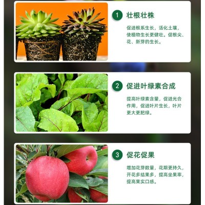 春源生物有机肥微生物肥料土地改良用肥花卉蔬菜土壤活化剂通用 2袋图4
