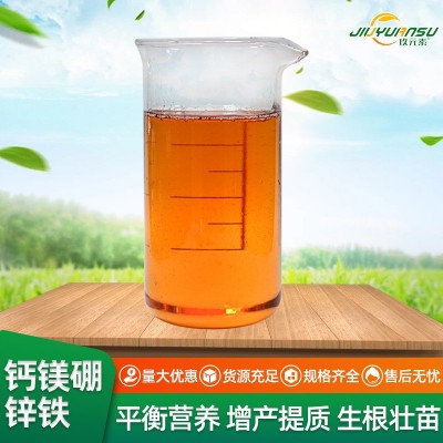 钙镁硼锌铁液肥叶面肥中量元素液体肥促花保果绿叶防裂钙镁硼锌铁 3件图3