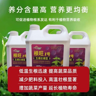 根旺生根剂根多多强力生根发根剂蔬菜大田通用型壮苗剂快速 生根液 1桶图4