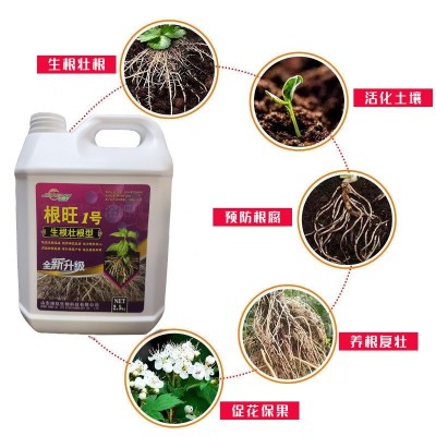 根旺生根剂根多多强力生根发根剂蔬菜大田通用型壮苗剂快速 生根液 1桶图5