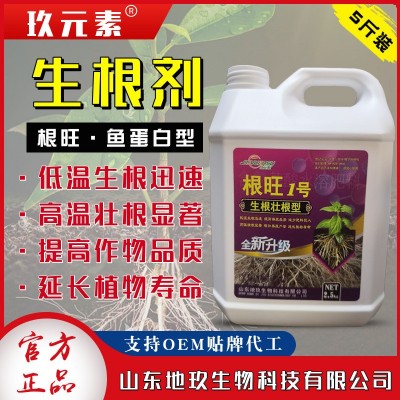 根旺生根剂根多多强力生根发根剂蔬菜大田通用型壮苗剂快速 生根液 1桶图2