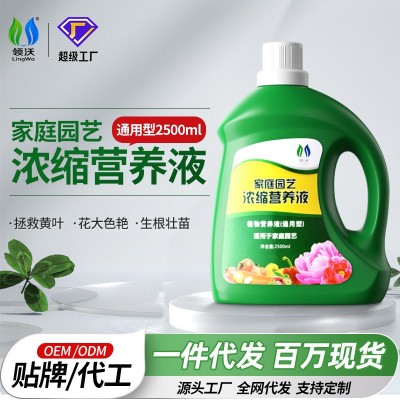领沃营养液植物通用型花卉绿植发财树水培富贵竹花肥肥料一件代发 1瓶图2