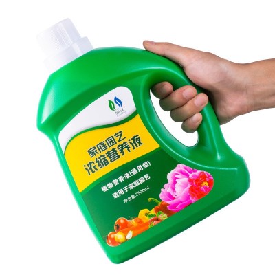 领沃营养液植物通用型花卉绿植发财树水培富贵竹花肥肥料一件代发 1瓶图5