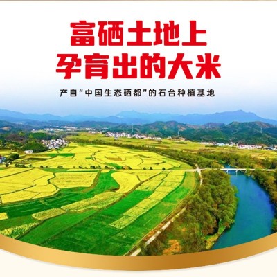 富硒大米真空米砖扶贫助农大米批发 会销礼品大米 富硒大米5斤装图3