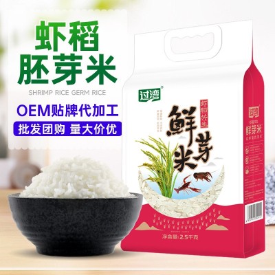 2025胚芽米现碾留胚大米5斤真空包装粳米2.5kg不抛光新米 营养粥米图2