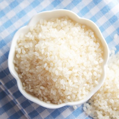 新米胚芽大米5kg圆粒珍珠米粮油会销礼品10斤装粳香米批发稻花图2