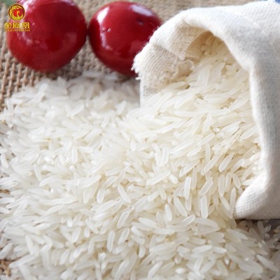 新米番禺丝苗米 煲仔饭大米5KG 籼米10斤大米新鲜大米 细长香米图3