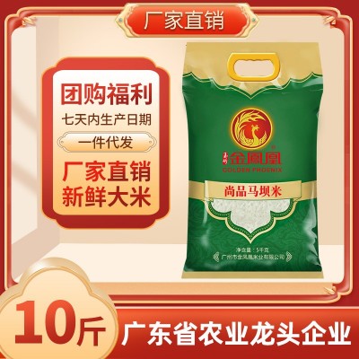 新鲜大米 韶关马坝米5KG 籼米 大米厂家佳节送礼